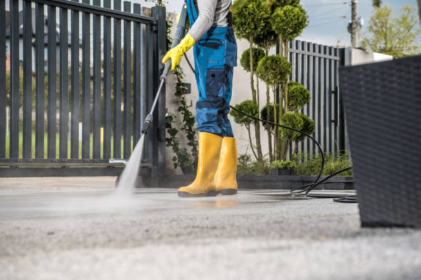 Best Fence Cleaning  in Turtle Creek, PA